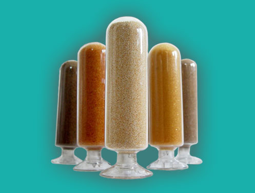 首页- F66永乐国际集团官方网站